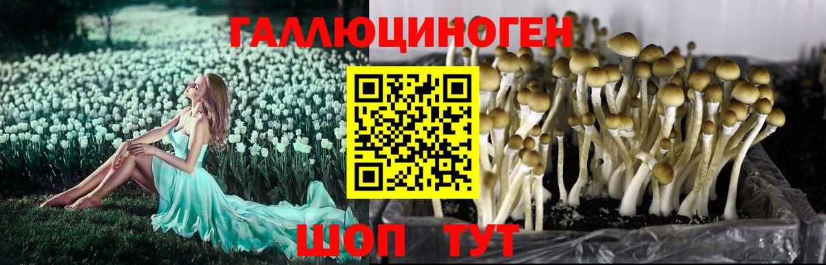 Кимовск  Галлюциногенные грибы ЛСД  Галлюциногенные грибы GOLDEN TEACHER  Вход с VPN 
